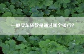 一般买车贷款是通过哪个银行？