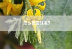 怎么挽回女友？