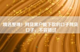 精选整理！网贷黑户能下款的口子网贷口子，不容错过