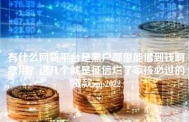 有什么网贷平台是黑户哪里能借到钱啊急用？这几个就是征信烂了审核必过的贷款app2022