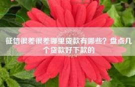 征信很差很差哪里贷款有哪些？盘点几个贷款好下款的