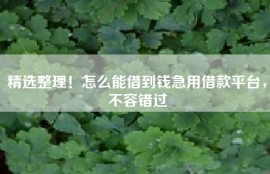精选整理！怎么能借到钱急用借款平台，不容错过