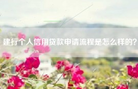 建行个人信用贷款申请流程是怎么样的？