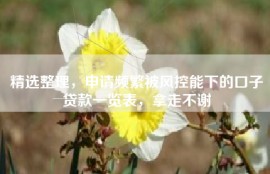 精选整理，申请频繁被风控能下的口子贷款一览表，拿走不谢