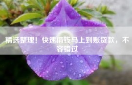 精选整理！快速借钱马上到账贷款，不容错过