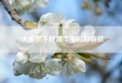 大数据不好哪个平台好贷款