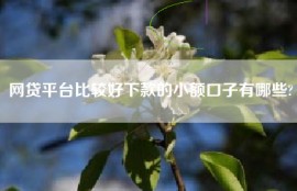 网贷平台比较好下款的小额口子有哪些?