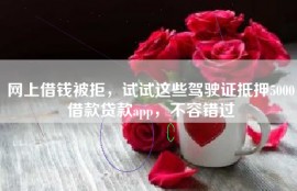 网上借钱被拒，试试这些驾驶证抵押5000借款贷款app，不容错过
