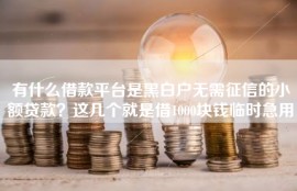 有什么借款平台是黑白户无需征信的小额贷款？这几个就是借1000块钱临时急用