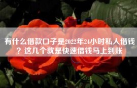 有什么借款口子是2022年24小时私人借钱？这几个就是快速借钱马上到账