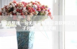 精选整理一份无需审核通过贷款网贷口子名单，拿走不谢