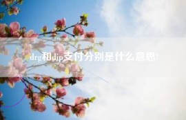 drg和dip支付分别是什么意思?