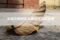 头部互联网巨头增资小贷的梳理