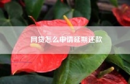 网贷怎么申请延期还款
