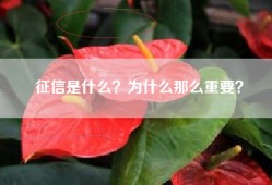 征信是什么？为什么那么重要？