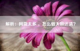 解析：网贷太多 ，怎么借大额还清？