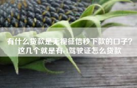 有什么贷款是无视征信秒下款的口子？这几个就是有c1驾驶证怎么贷款