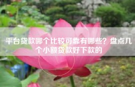 平台贷款哪个比较可靠有哪些？盘点几个小额贷款好下款的