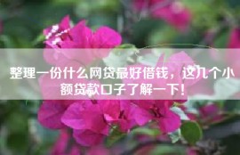 整理一份什么网贷最好借钱，这几个小额贷款口子了解一下！