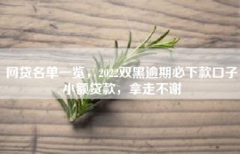 网贷名单一览，2022双黑逾期必下款口子小额贷款，拿走不谢