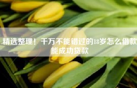 精选整理！千万不能错过的18岁怎么借款能成功贷款
