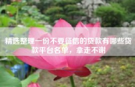 精选整理一份不要征信的贷款有哪些贷款平台名单，拿走不谢