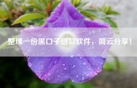 整理一份黑口子借款软件，简云分享！