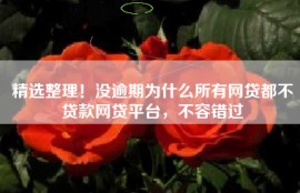 精选整理！没逾期为什么所有网贷都不贷款网贷平台，不容错过