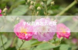 平安普惠怎么还款