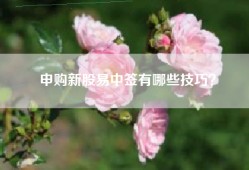 申购新股易中签有哪些技巧？