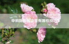 申购新股易中签有哪些技巧？