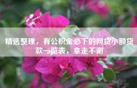 精选整理，有公积金必下的网贷小额贷款一览表，拿走不谢