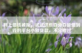 网上借钱被拒，试试这些百分百能借到钱的平台小额贷款，不容错过