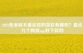 2022免审核不看征信的贷款有哪些？盘点几个网贷app好下款的