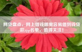 网贷盘点，网上借钱哪里容易借到钱贷款app名单，值得关注！