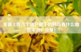 全新上线几个黑户能下的网贷有什么借款平台，分享！