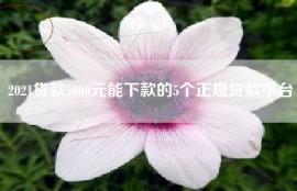 2021贷款5000元能下款的5个正规贷款平台