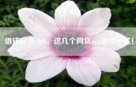 借钱应急5000，这几个网贷app值得一试！