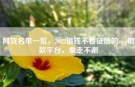 网贷名单一览，2022借钱不看征信的app借款平台，拿走不谢