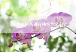 在京东白条进行违约怎么办？