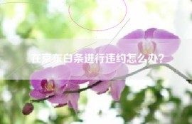 在京东白条进行违约怎么办？