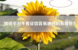 借钱平台不看征信容易通过的有哪些？