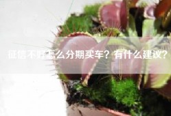 征信不好怎么分期买车？有什么建议？