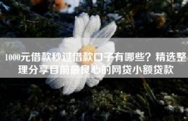 1000元借款秒过借款口子有哪些？精选整理分享目前最良心的网贷小额贷款