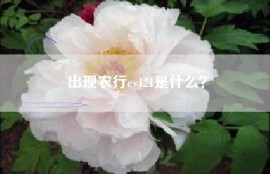 出现农行es421是什么？