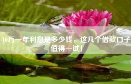 10万一年利息是多少钱，这几个借款口子值得一试！