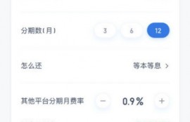 什么可靠借钱软件能分24期？