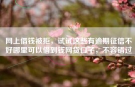 网上借钱被拒，试试这些有逾期征信不好哪里可以借到钱网贷口子，不容错过