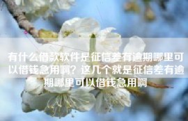 有什么借款软件是征信差有逾期哪里可以借钱急用啊？这几个就是征信差有逾期哪里可以借钱急用啊
