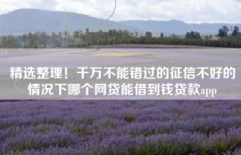 精选整理！千万不能错过的征信不好的情况下哪个网贷能借到钱贷款app